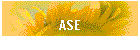 ASE