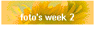 foto's week 2