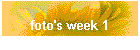 foto's week 1
