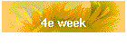 4e week