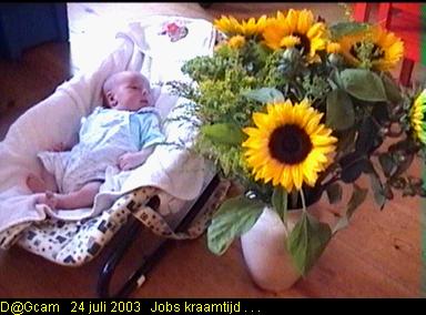 Job, met zonnebloemen van tante Nel