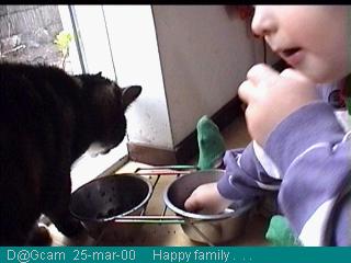 Kattenbrokjes ...  hmmmmmm!!!